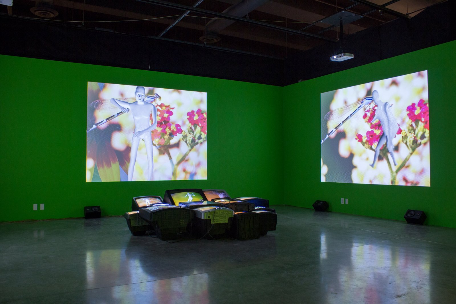 The Mouth Breathers Dance